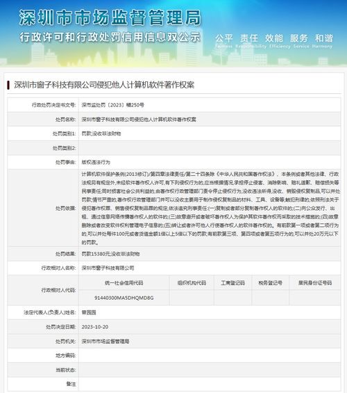 深圳市窗子科技侵犯他人計算機軟件著作權案的法律解讀與技術服務啟示